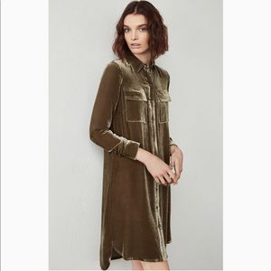 BCBG Abee velvet shirt dress